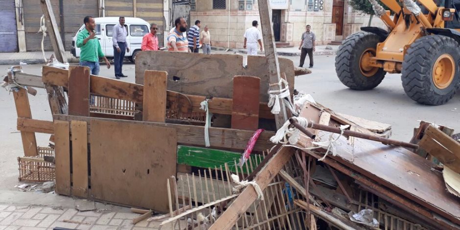حملة مكبرة لإزالة الإشغالات بشوارع عامود السواري وكرموز غرب الإسكندرية (صور)