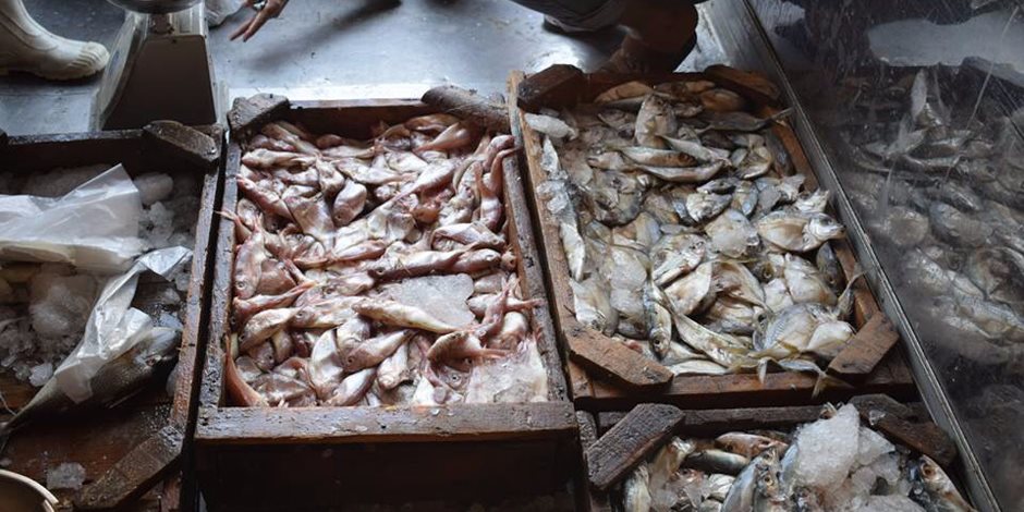 مشروع قانون الصيد الجديد.. هل يحل مشاكل الزريعة والصيد الجائر؟