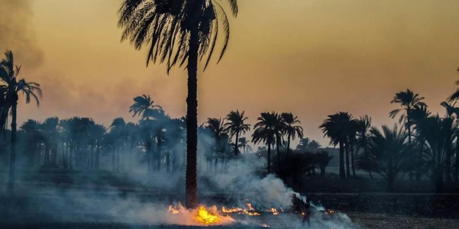 حزب مستقبل وطن يطالب محافظ أسيوط بالحد من ظاهرة حرق مخلفات الذرة