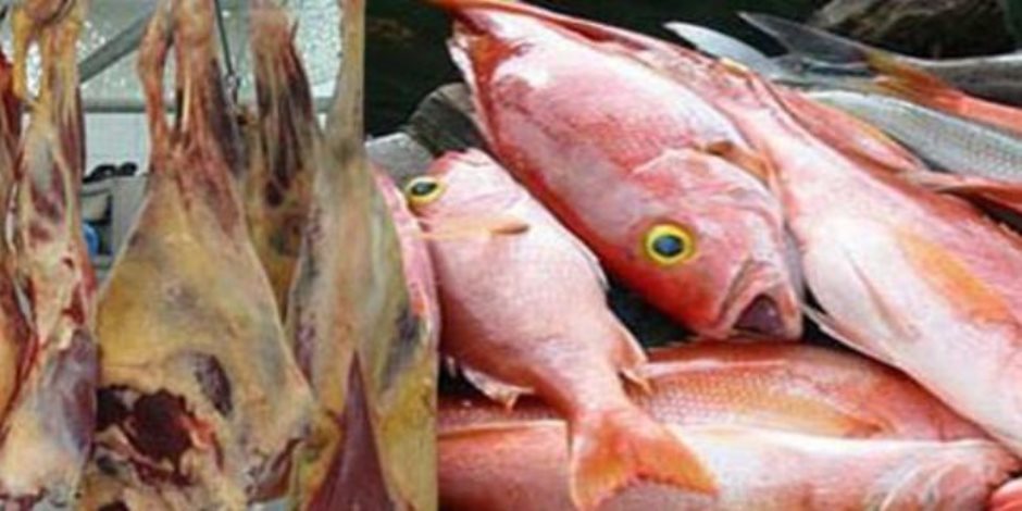ضبط أسماك ولحوم وكبدة غير صالحة للاستهلاك الآدمى بإيتاى البارود