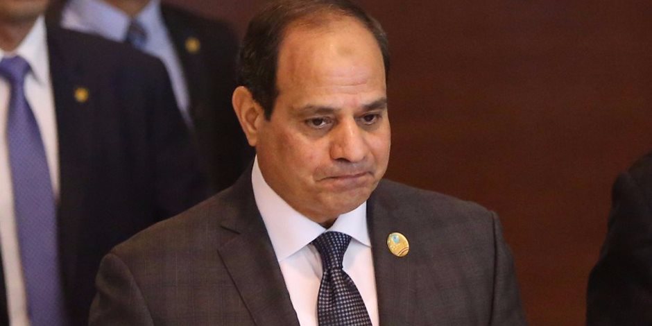 "ما حدش يقدر يمس ميه مصر".. دبلوماسيون وبرلمانيون يثقون في قدرة السيسي على حفظ حقوق مصر المائية
