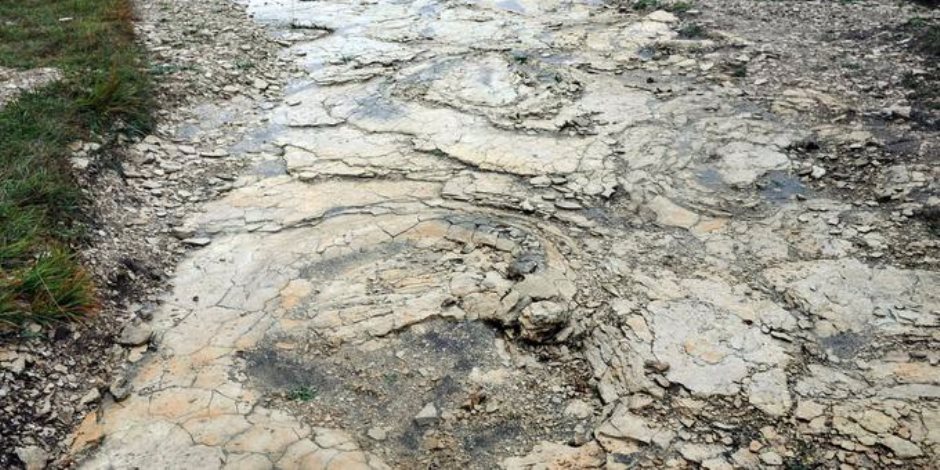 باحثون يكتشفون أضخم آثار أقدام لكائن عملاق فى النرويج:"يصل طولة لـ 155 متر" 