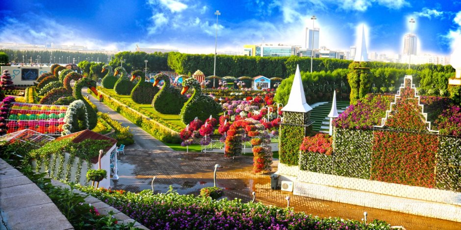 50 مليون زهرة وتصميمات ثلاثية الأبعاد في الموسم السادس لحديقة دبي