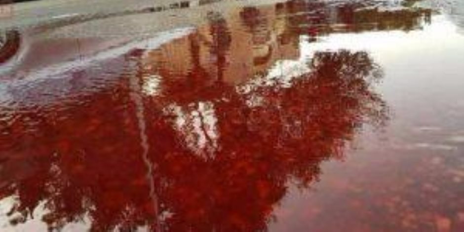 دماء مجهولة تظهر  بساحة جامعة عين شمس.. والفلكي أحمد شاهين: ساكشف سرها لاحقا " صور " 
