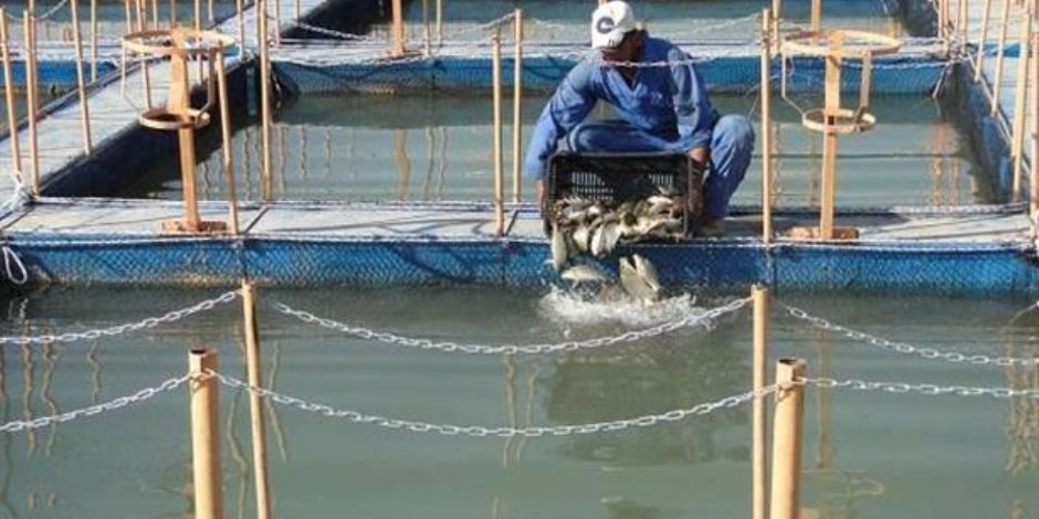 الرئيس السيسى يتفقد مزرعة غليون للاستزراع السمكى عقب افتتاحها