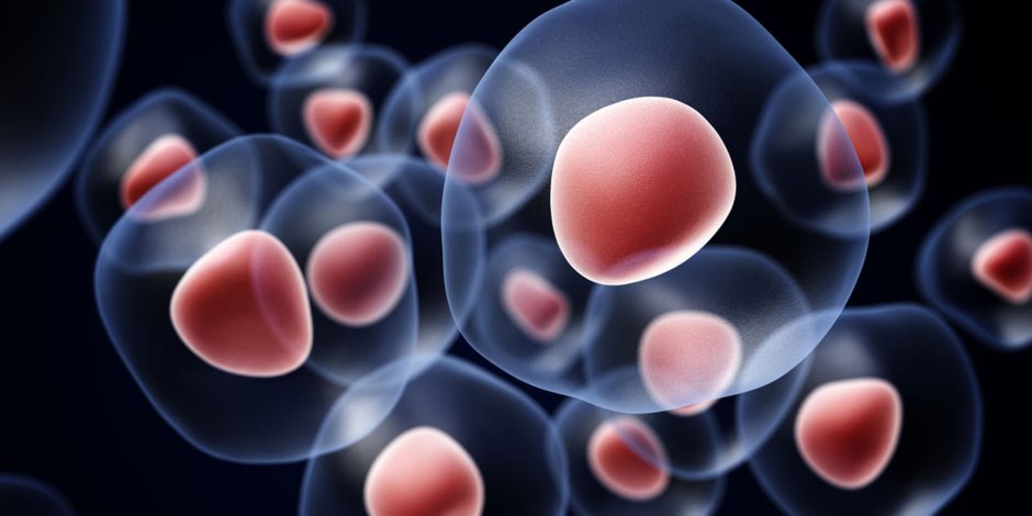 استخدام الخلايا الجذعية لانتاج أول غدة صماء صناعية للأطفال المصابين بخلل مناعي  