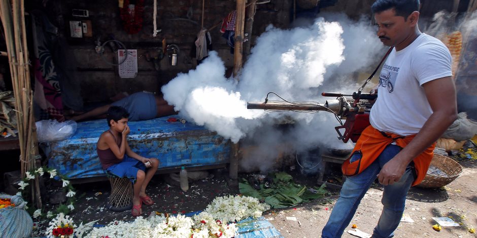 السلطات الهندية تكافح البعوض خوفًا من حمى الضنك (صور)