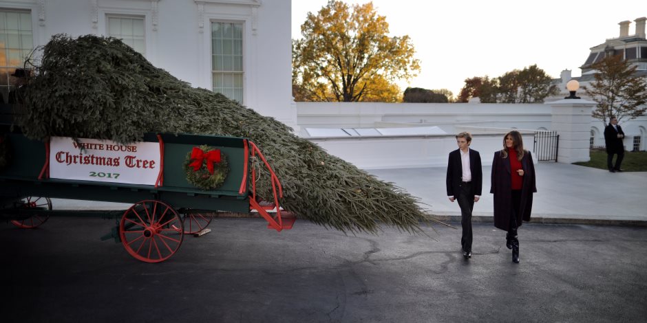 البيت الأبيض.. ميلانيا تستقبل شجرة الكريسماس فى غياب ترامب "صور"