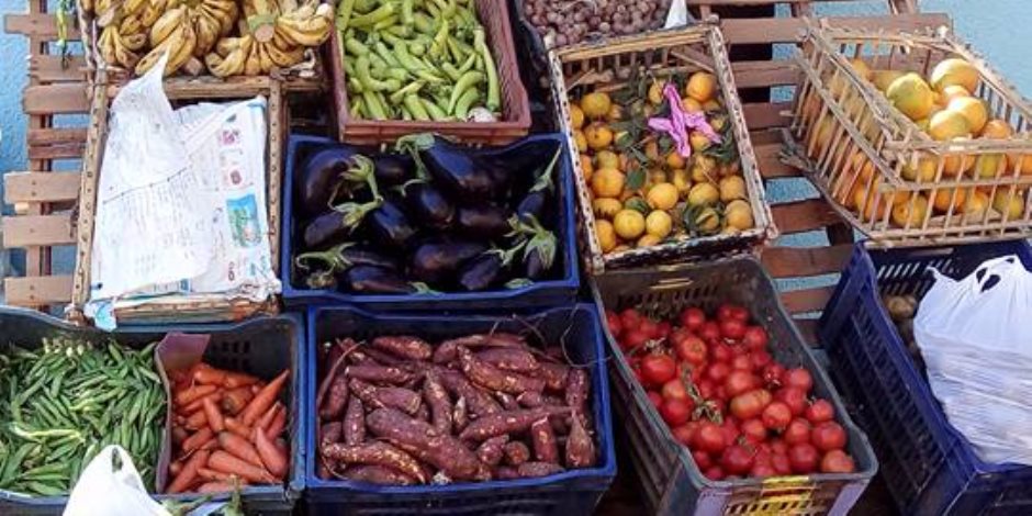 منافذ بيع للخضروات والفاكهة بأسعار مخفضة للشباب بقرية المعصرة في الداخة (صور) 