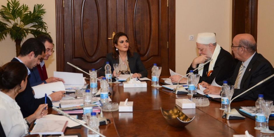 تفاصيل اجتماع اللجنة التنفيذية لصندوق "تحيا مصر" لبحث دعم مخطط تنمية بئر العبد