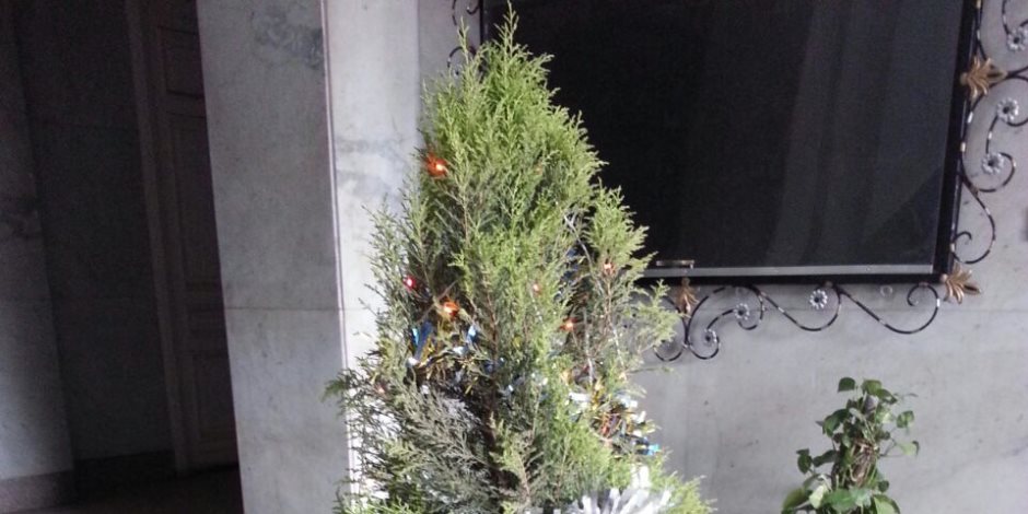 شجرة ولافتة.. محافظة القاهرة تحتفل بعيد الميلاد المجيد على طريقتها الخاصة (صور)