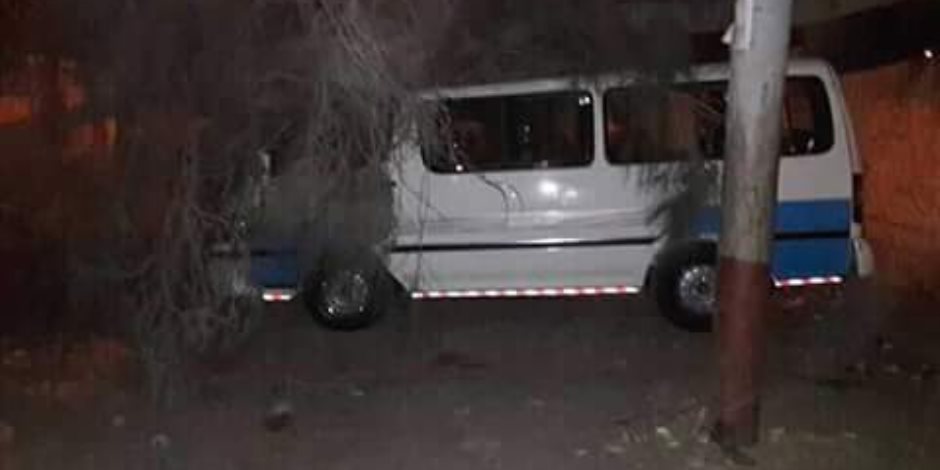 سقوط شجرة وعمود كهرباء بسبب سوء الأحوال الجوية فى دمياط