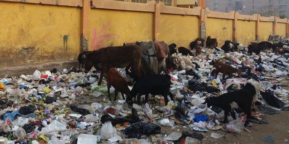 محافظ القاهرة يواجه القمامة بـ5 آلاف سلة مهملات 
