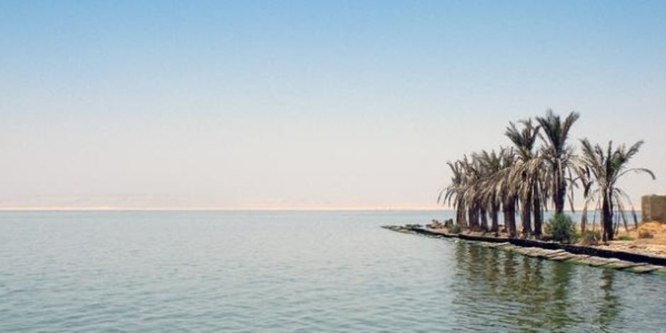 بحيرة قارون تحت حصار الملوحة والطفيليات