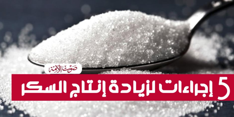 5 إجراءات حكومية للنهوض بصناعة السكر في مصر 