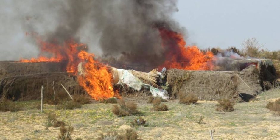 الجيش الثاني الميداني: القضاء على إرهابي شديد الخطورة وضبط 6 آخرين بشمال سيناء