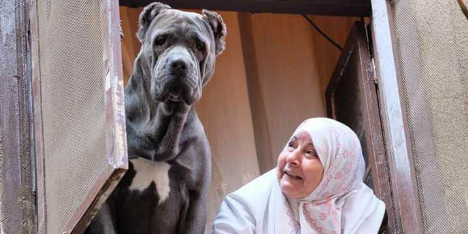 مصور "السيدة والكلب": هيرا كانت مستنية الأكل يطلع من السبت