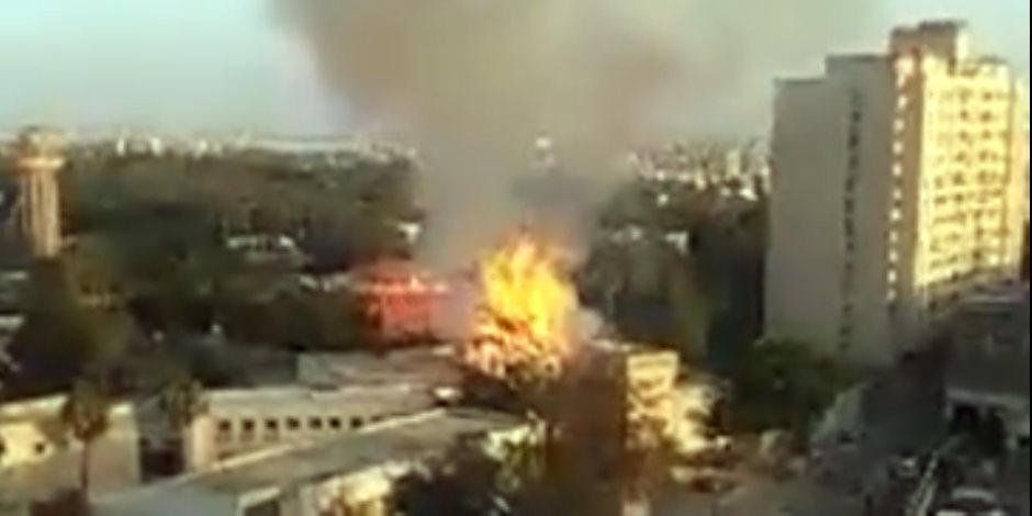 حريق بحديقة حيوانات الاسكندرية بالقرب من المدينة الجامعية للطالبات (فيديو) 