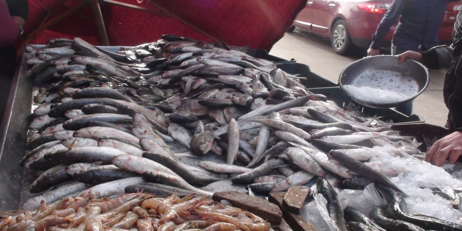 مع منتصف رمضان.. استقرار اسعار الأسماك في الأسواق 