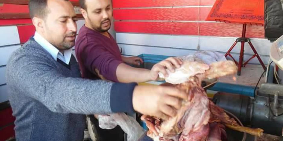 ضبط لحوم وفسيخ غير صالح وإعدام 70 كيلو سلع غذائية غير صالحه بكفر الشيخ (صور)