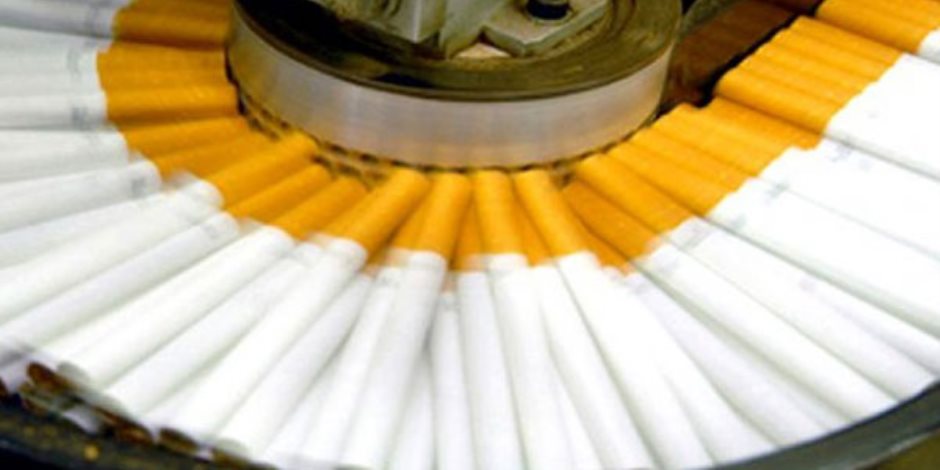 أمراض القلب والسرطان: مخاطر صحية تواجه العاملين فى مصانع التبغ.. فهل من مجيب؟
