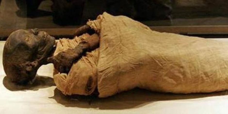 "من فات قديمة" خبراء تجميل من ماليزيا ينصحون استخدام الحناء مثل قدماء المصريين بدلا من الصبغات 