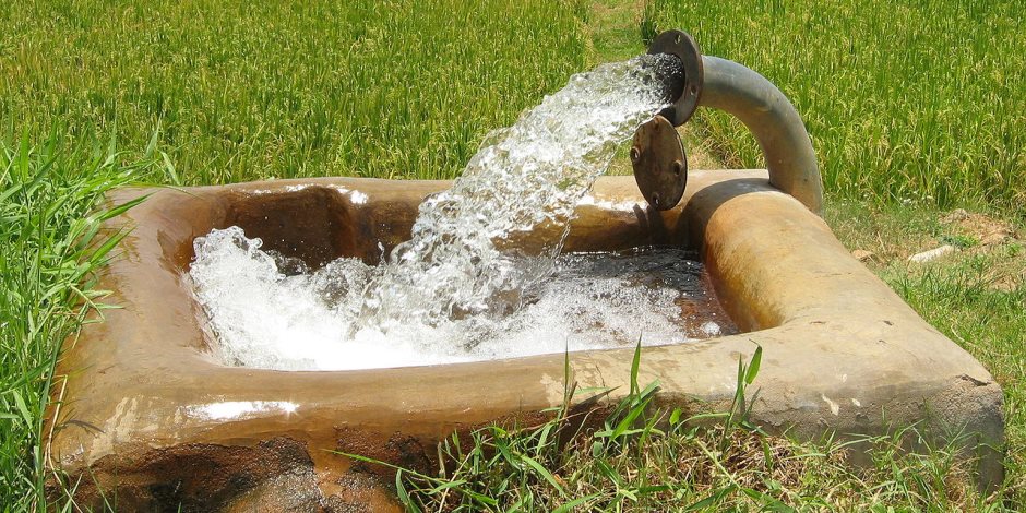 هل تتجه الدولة لتبني مشروع "الزراعات الذكية" لتوفير استهلاك المياه؟