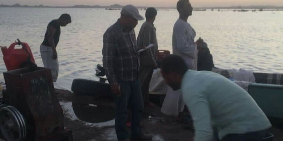 «مسطحات السد العالي» تحبط تهريب 733 كيلو من الأسماك في بحيرة ناصر