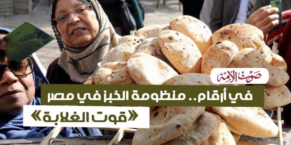 في أرقام.. منظومة الخبز في مصر «قوت الغلابة» (إنفوجراف)