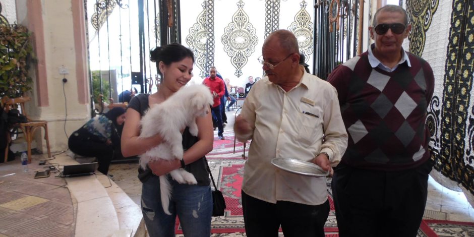 عجائب انتخابات الرئاسة.. فتاة تصطحب الكلبة «بيلي» في لجنة بمصر الجديدة (صور وفيديو)