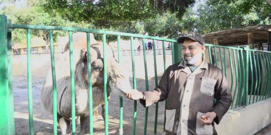 حديقة حيوانات الإسكندرية ترفع درجة الاستعداد القصوى لإستقبال زوار أعياد الربيع  ( صور )