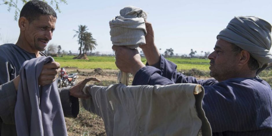 «رفيق الكفاح».. «خيال  المآتة» من حماية المحاصيل المصرية إلى تنظيم المرور بأمريكا 