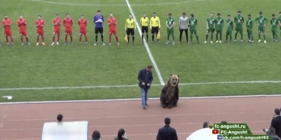 دب روسي يفتتح مباراة كرة قدم بدوري الدرجة الثالثة (صورة)