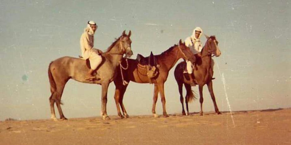 أحد كبار مربي الخيل بالشرقية: الهيئة الزراعية تسببت في طمس هوية الخيل الأصيل بمصر