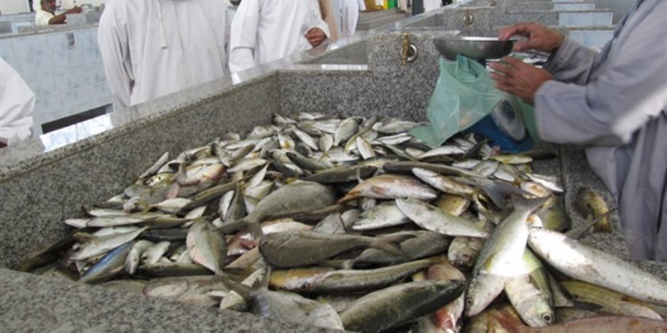 استقرار أسعار الأسماك اليوم بسوق العبور واستمرار ضعف الإقبال