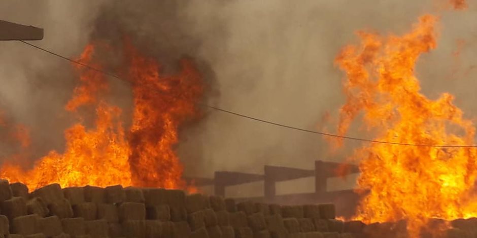 محافظ أسوان يصل موقع حريق مصنع الأخشاب في كوم أمبو (صور)