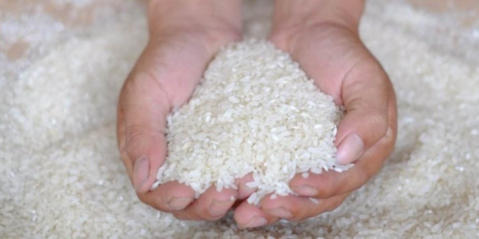 حملة تموينية بالغربية تضبط 25 طن أرز شعير وملح طعام غير صالح للاستهلاك وأغذية أطفال