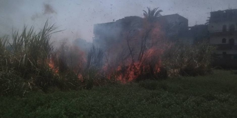 السيطرة على حريق في زراعات القصب بمنطقة الحبيل قبل وصولها للمنازل