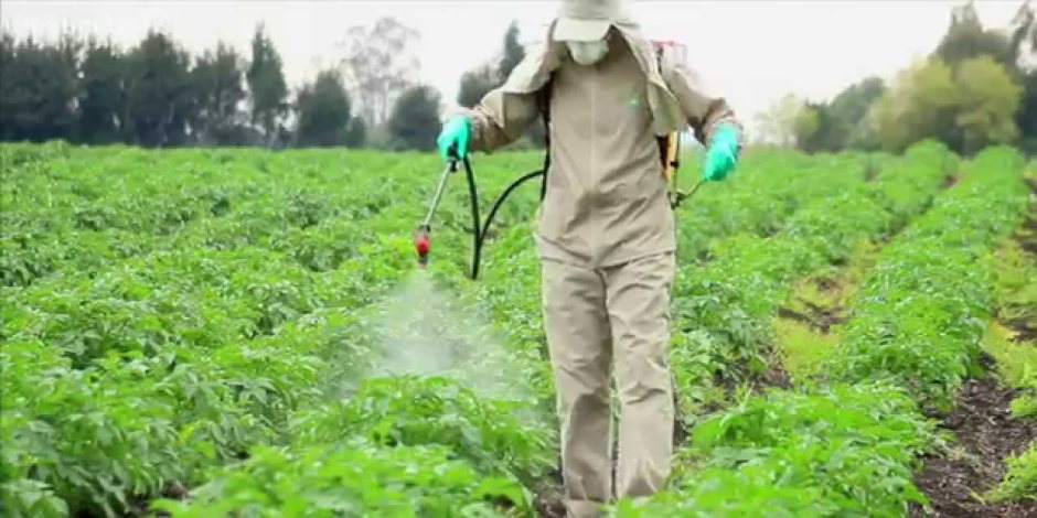 9 نصائح هامة.. «الزراعة» تضع روشتة الاستخدام الأمن للمبيدات