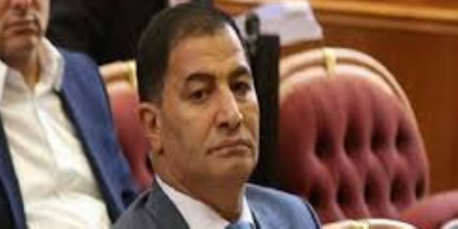 «تقارير مسيسة عن سجون مصر».. النائب البدري ضيف يطالب «العفو الدولية» بالحياد