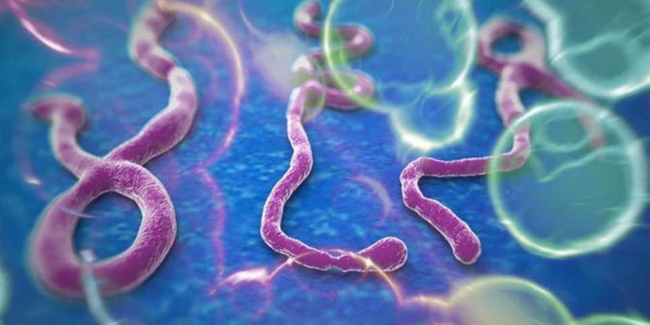 ما هو فيروس الإيبولا وأعراضه وطرق نقله بعد ظهور وفيات في أوغندا؟