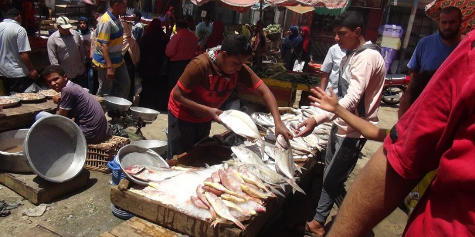 أسواق الأسماك بالسويس تعود للعمل في ثالث أيام شهر رمضان