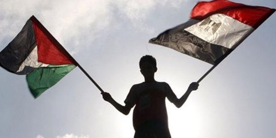 حزب الريادة: أكاذيب الإعلام الغربي تحاول تشويه دور مصر تجاه القضية الفلسطينية
