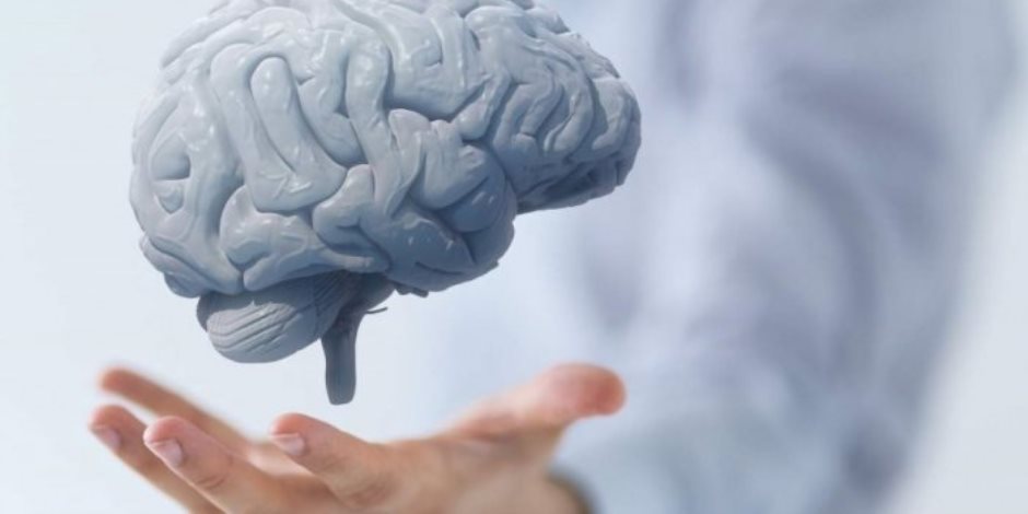 لو حد قال لك دماغك كبيرة ما تزعلش.. هل تعلم أن حجم المخ يحدد مستوى الذكاء؟