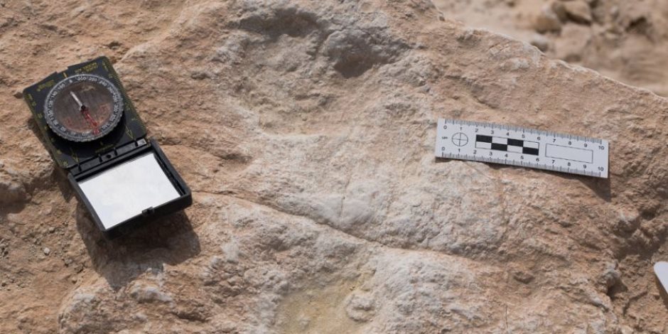 بقايا أحفورية وأدوات تقطيع.. اكتشاف آثار أقدم إنسان عاش في الصين قبل مليوني عام