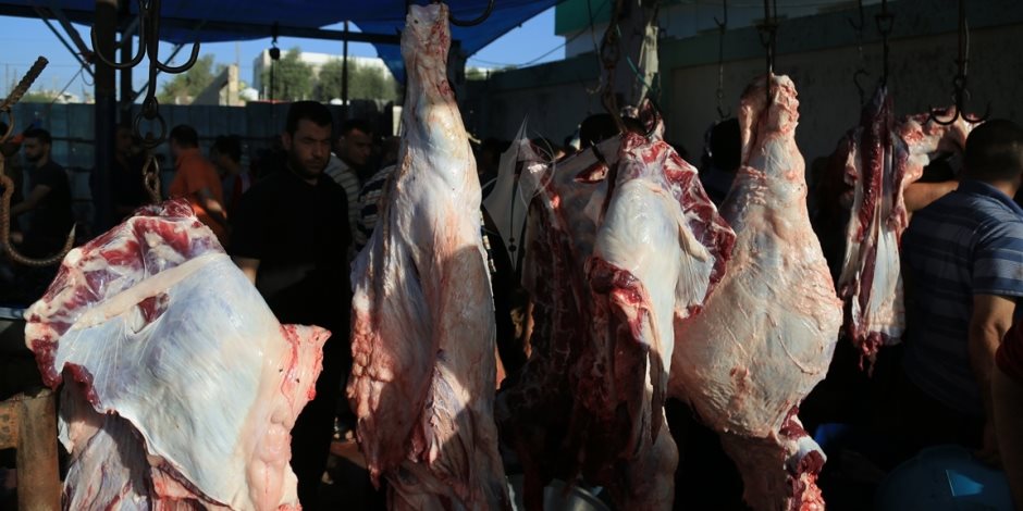 أسبوع في حب مصر.. «مواطنون ضد الغلاء» تتدخل لتخفيض أسعار اللحوم