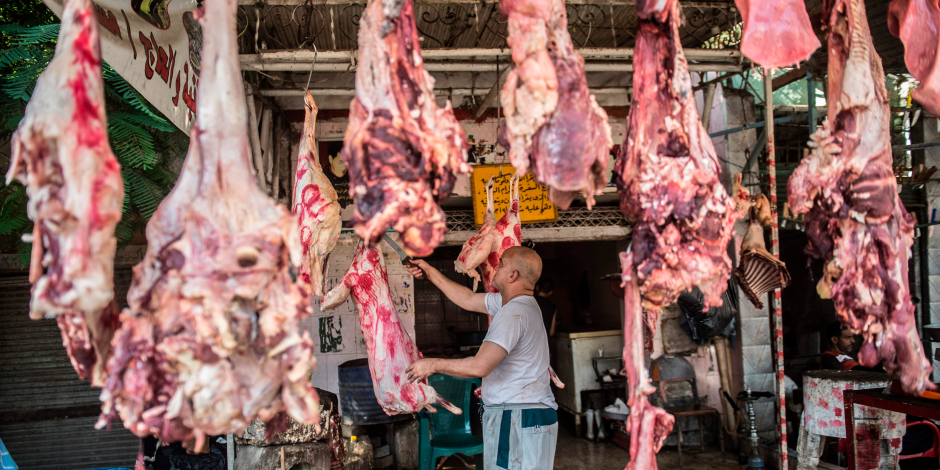 «هتاكل لحمة رخيصة».. القومي للبحوث يواصل تجاربه لزيادة إنتاج اللحوم ودعم الاقتصاد