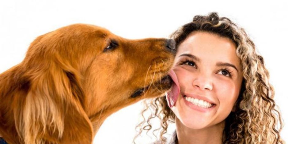 الموضوع مريب.. دراسة تكشف: المرأة تستطيع فك طلاسم نباح الكلاب أكثر من الرجل