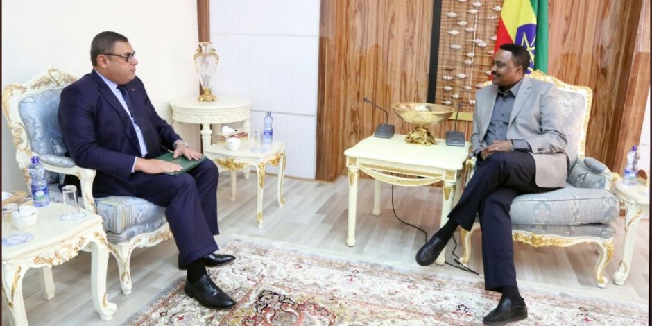 وزير الخارجية الإثيوبي يلتقى «حفني» في أديس أبابا ويؤكد: العلاقات بين البلدين إيجابية
