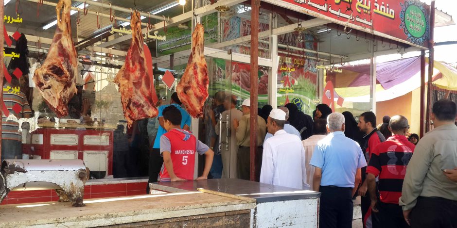 لمواجهة ارتفاع أسعار اللحوم الحمراء.. برلمانى يطالب بضبط الأسواق.. والحكومة تعلن خطتها خلال عيد الأضحى 